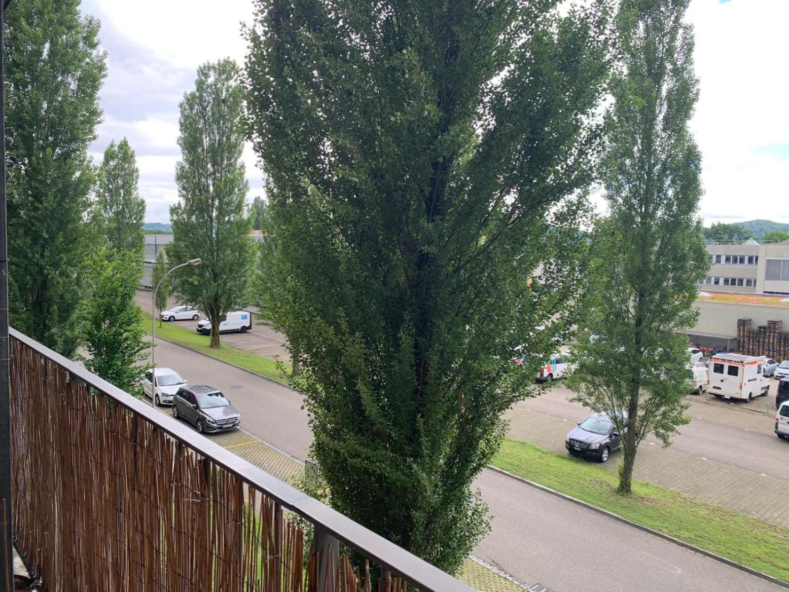 Rheinfelden Homestay Bagian luar foto